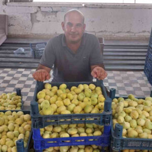 altindan bal damlayan incir ureticisinin yuzu guldu 6HiZl9bT