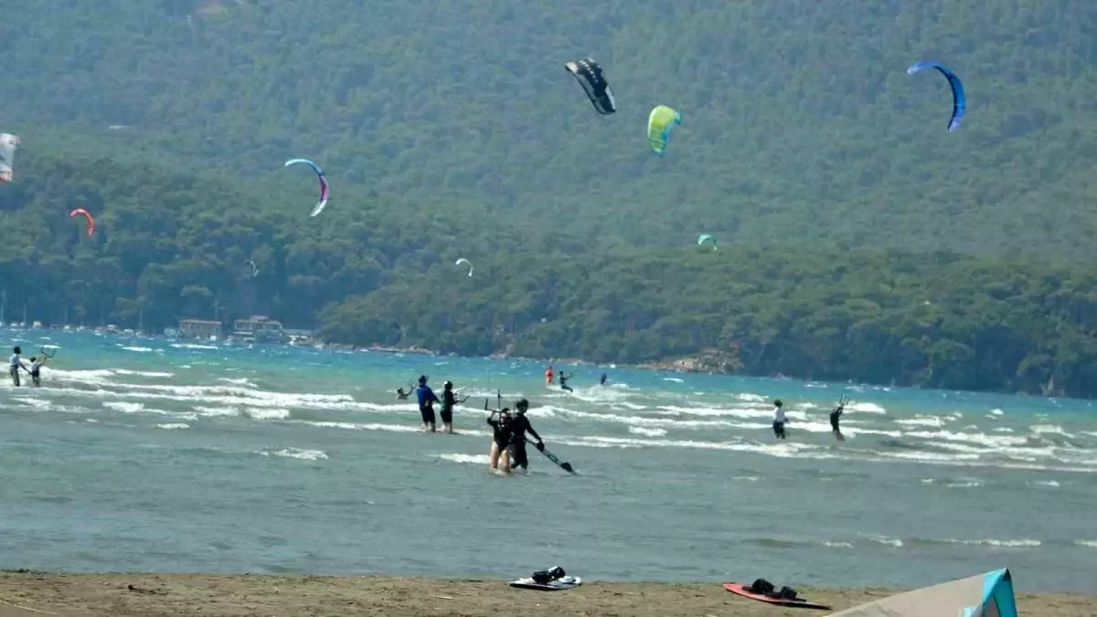 nilay deniz akyakayi tanitti pr3fGDv1