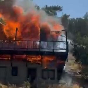 orman kil payi yanmaktan kurtuldu 3nED8s2L