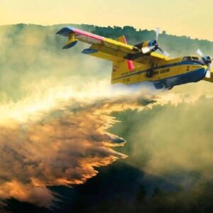 thknin ates kuslari icin yeni plan BSexOKxW