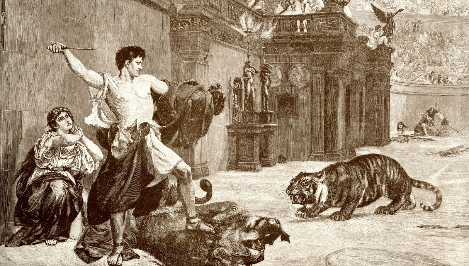 gladyatorlerin ayilarla dovustugu ilk kez kanitlandi DRmVEu7s