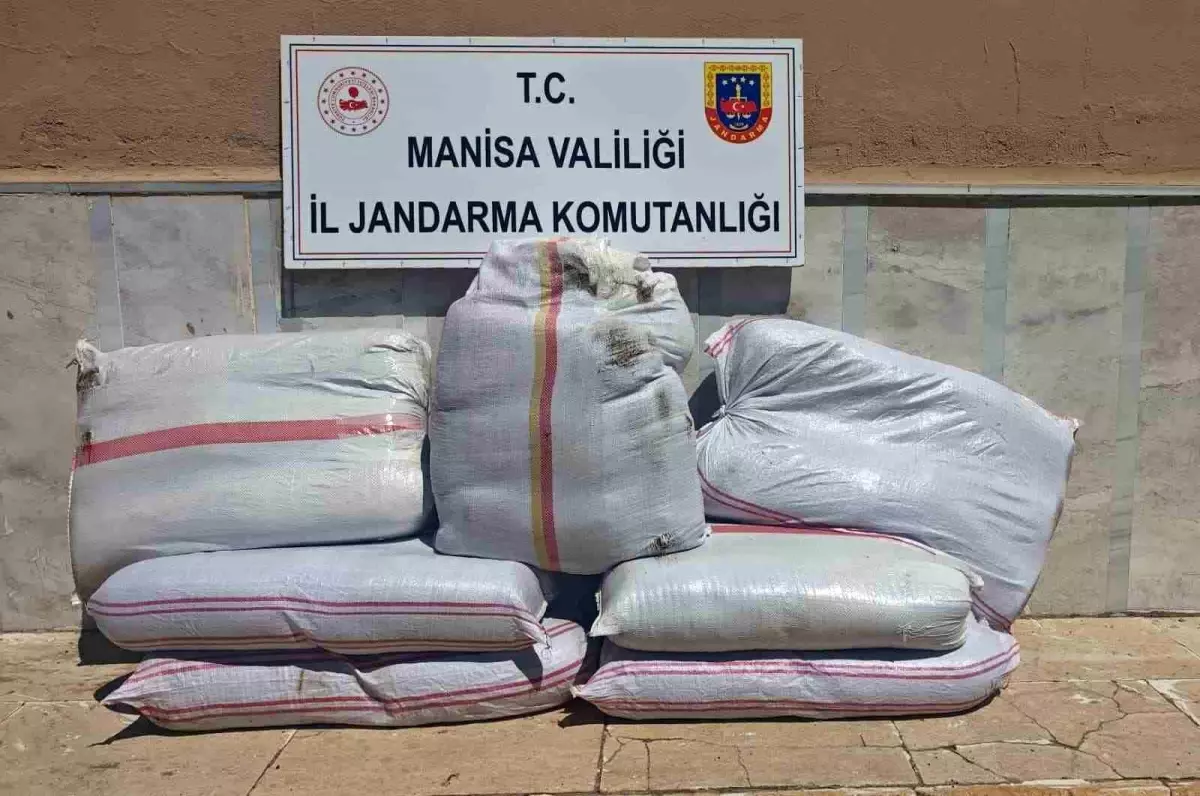 manisada 350 kilo kacak tutun ele gecirildi VYKTCNAI