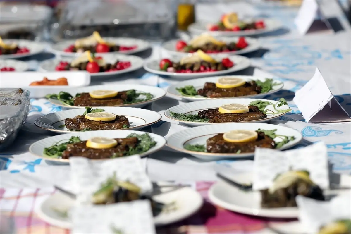 aliagada 4 zeytin hasat senligi HGMPJBFJ.jpg