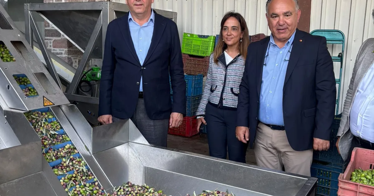 ayvalik ticaret odasi zeytinyagi ihracatinda en buyuk sorun markasizlik ijNbcxfh.webp