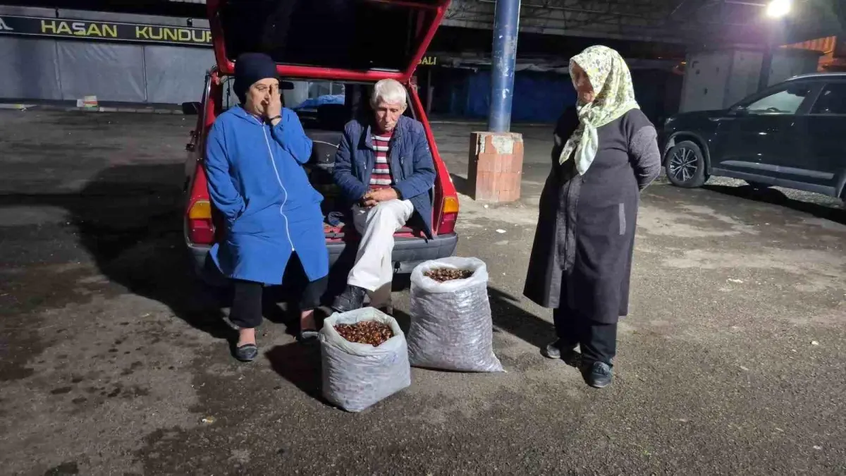 kuraklik kestane rekoltesini vurdu fiyatlar yukseliyor IQXHbxOv.jpg