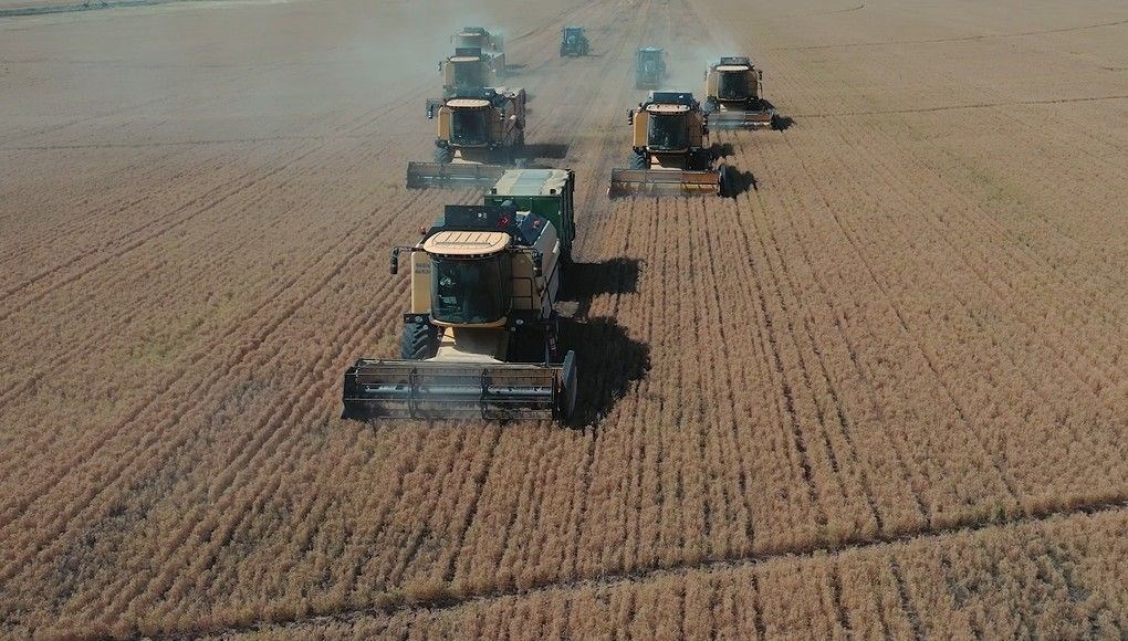 tigem mevsimlik isci alimi basvuru ekrani tarim isletmesi mudurlugu isci alimi kadro dagilimi ve basvuru sartlari 2DYQh3An