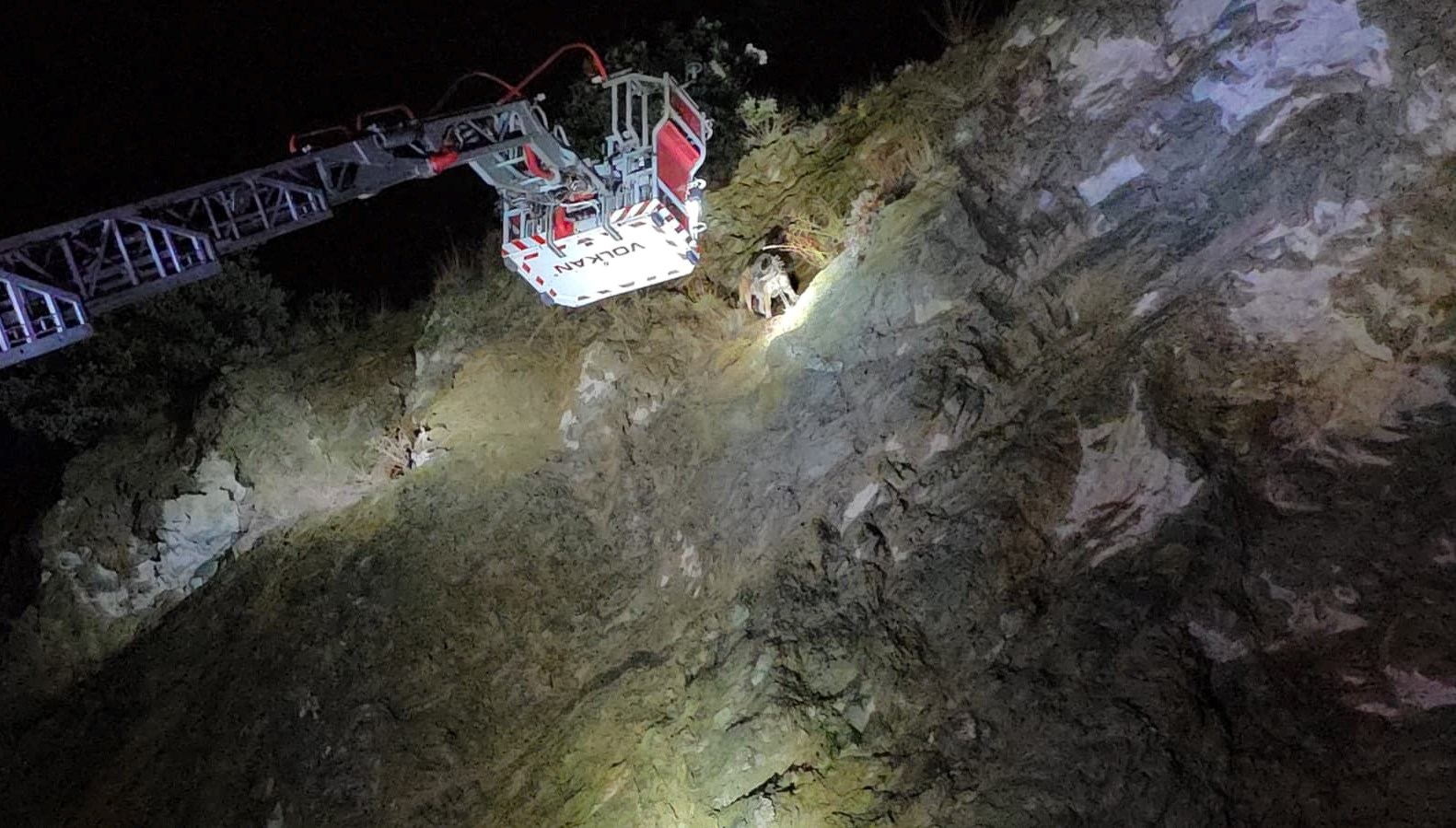 ucurumun ortasinda mahsur kalan kopege itfaiye yetisti FLqynvFR.jpg