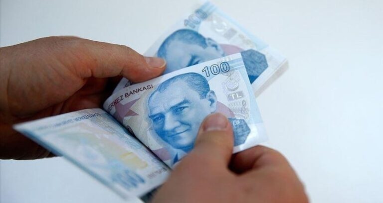 nisan-ayi-dogum-yardimi-odemeleri-hesaplara-yatirildi-r7Pp4njr