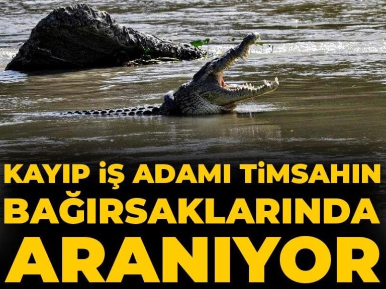 kayip-is-adami-timsahin-bagirsaklarinda-araniyor-ZHuV9nTB